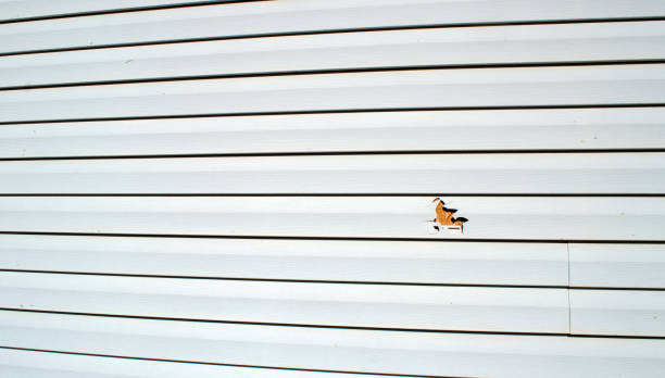 Best Composite Siding  in Lawrenceville, NJ