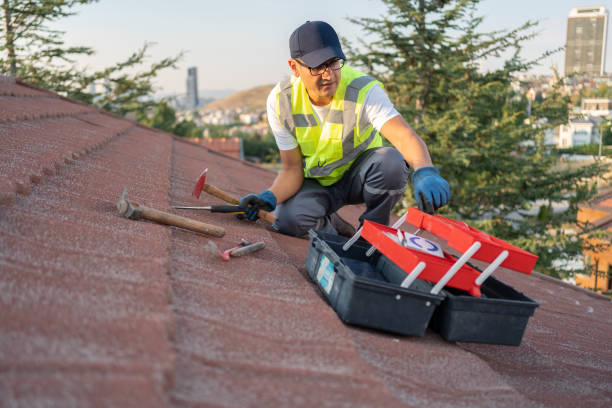 Best Custom Trim and Detailing for Siding  in Lawrenceville, NJ